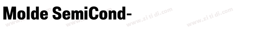 Molde SemiCond字体转换